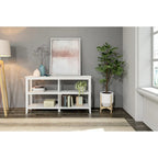 Edenton Wide Low 54W Bookcase with 2 Shelves, White